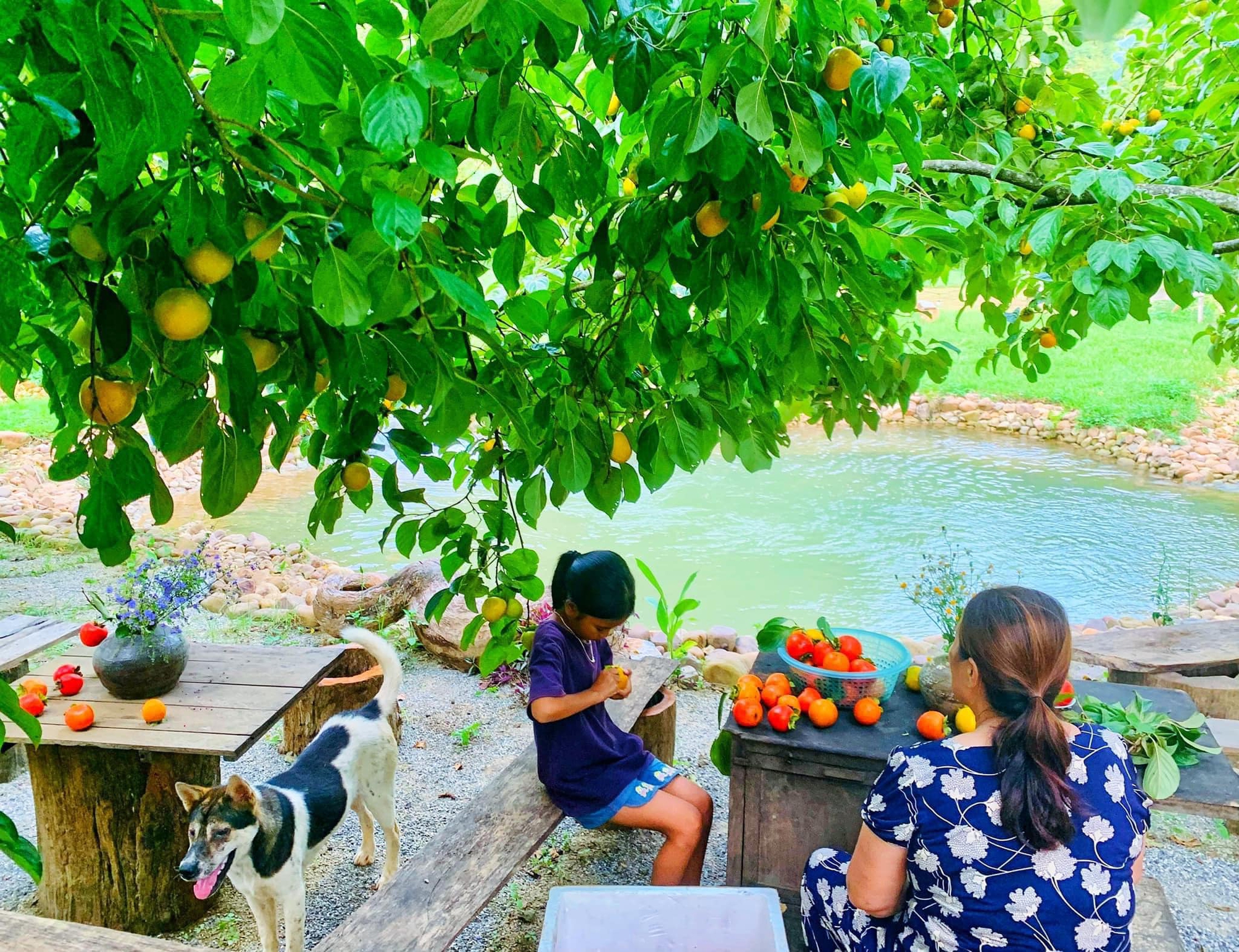 Người phụ nữ dành hơn 1 năm cải tạo ngôi nhà đá giữa thung lũng làm nơi nương náu cho tâm hồn, kết nối những đứa trẻ với thiên nhiên - Ảnh 5.