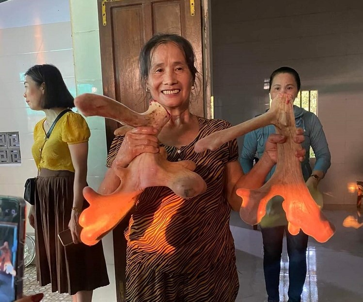 Cận cảnh cặp nhung hươu &ldquo;khổng lồ&rdquo; được b&aacute;n với gi&aacute; gần 100 triệu đồng - Ảnh 6.