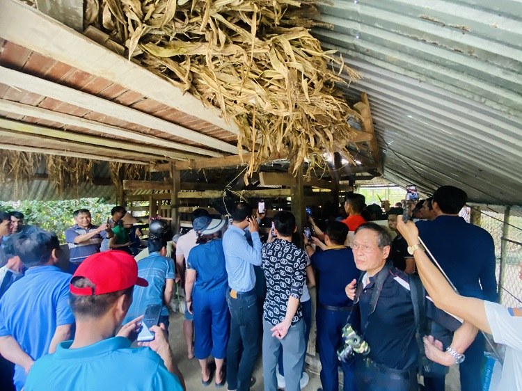 Cận cảnh cặp nhung hươu &ldquo;khổng lồ&rdquo; được b&aacute;n với gi&aacute; gần 100 triệu đồng - Ảnh 7.