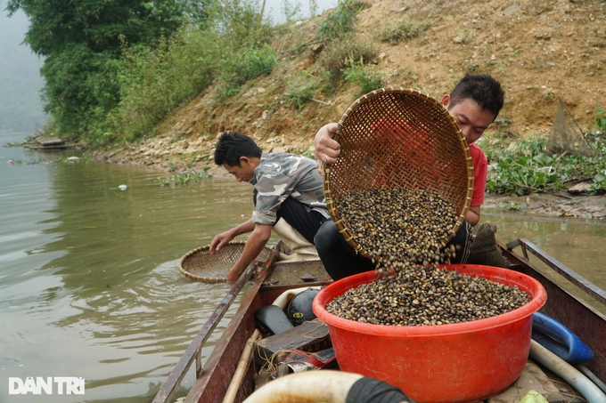 Công phu nghề cào hến trên sông Mã - Ảnh 7.