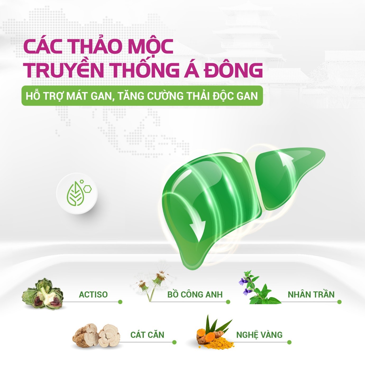 Sống khỏe chủ động với Nước uống hỗ trợ thải độc gan từ Kế sữa, Actiso và các thảo dược - Ảnh 2.