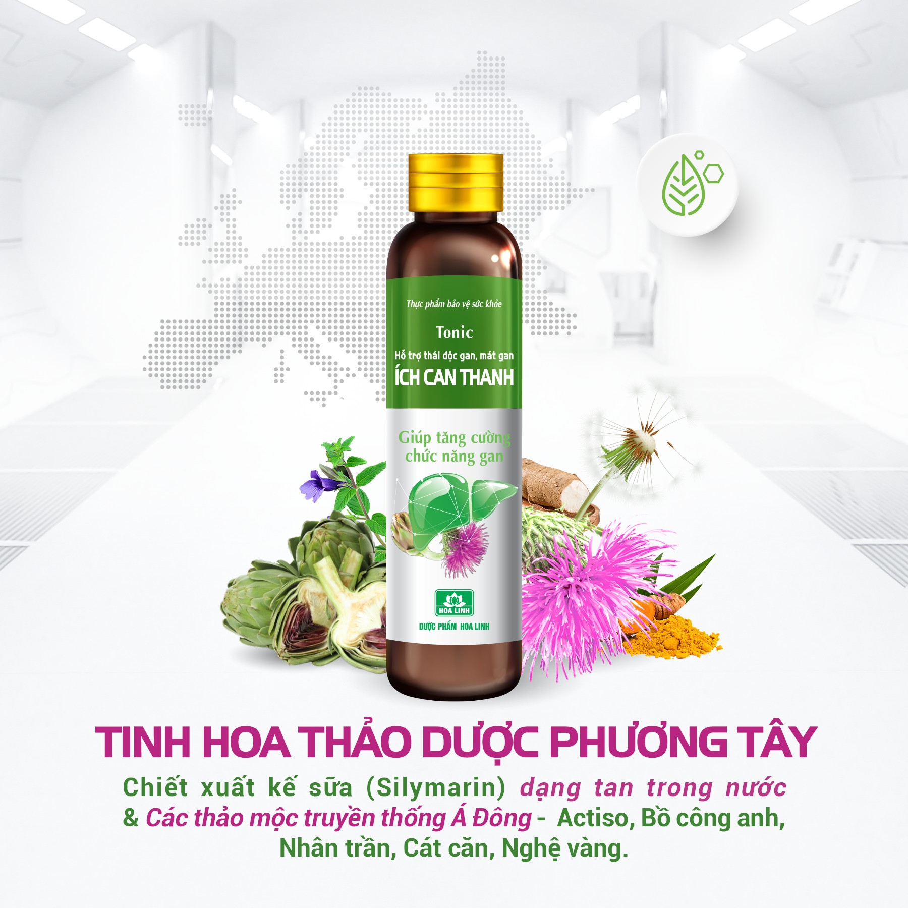 Sống khỏe chủ động với Nước uống hỗ trợ thải độc gan từ Kế sữa, Actiso và các thảo dược - Ảnh 3.