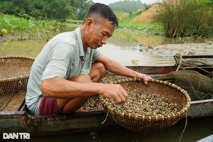 Công phu nghề cào hến trên sông Mã - Ảnh 4.