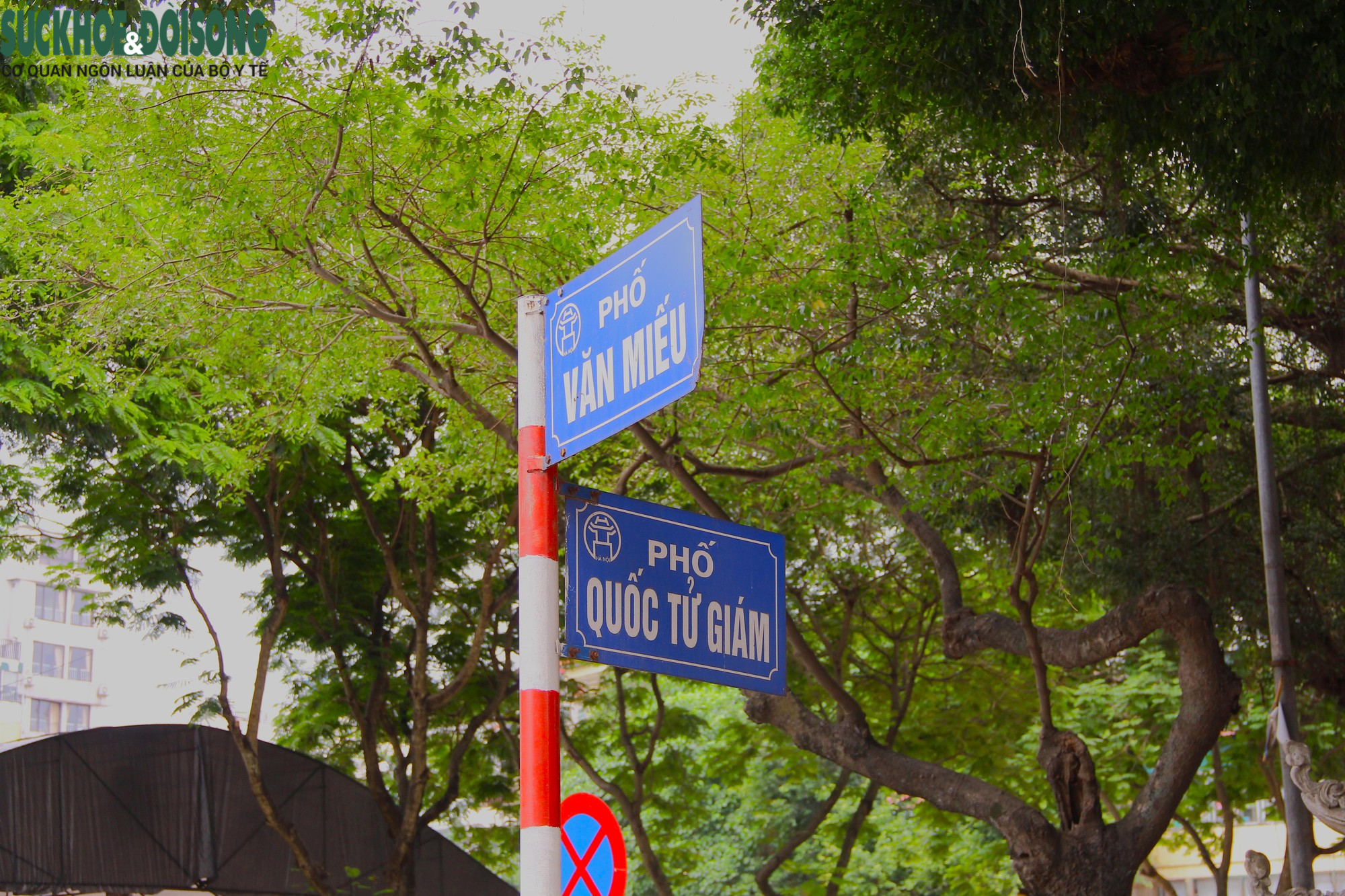 Hà Nội: Cận cảnh 3 địa điểm dự kiến trở thành phố đi bộ mới - Ảnh 7.