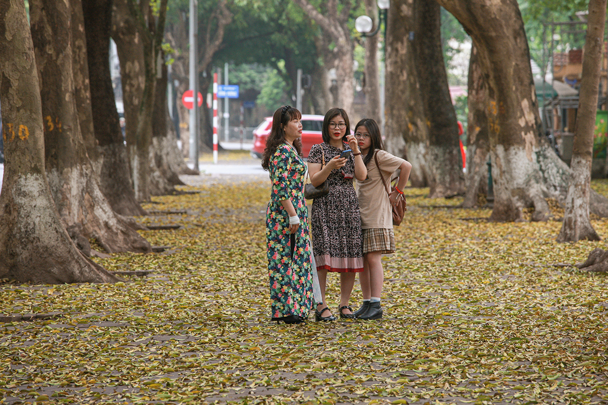 Chị em hào hứng check in với 'combo' hoa loa kèn cùng lá vàng rơi trên con đường lãng mạn nhất Hà Nội - Ảnh 9.