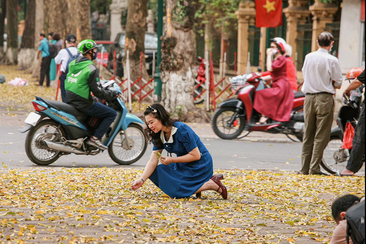 Chị em hào hứng check in với 'combo' hoa loa kèn cùng lá vàng rơi trên con đường lãng mạn nhất Hà Nội - Ảnh 11.