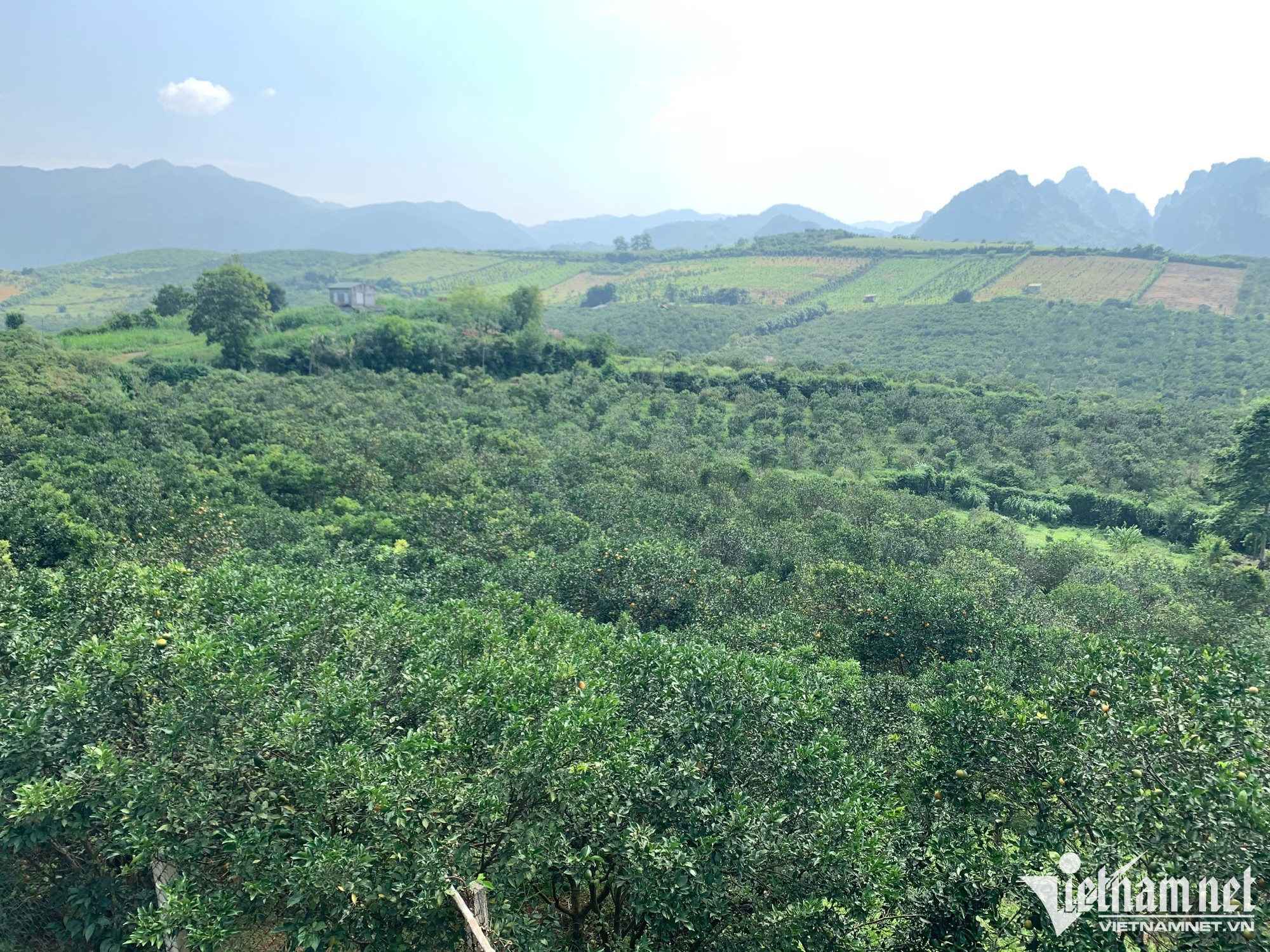 Đổ tiền tỷ &ocirc;m đất gi&aacute; rẻ chờ chuyển đổi c&oacute; l&atilde;i d&agrave;y, &lsquo;bỏng tay&rsquo; r&uacute;t củi kh&ocirc;ng kịp - Ảnh 1.