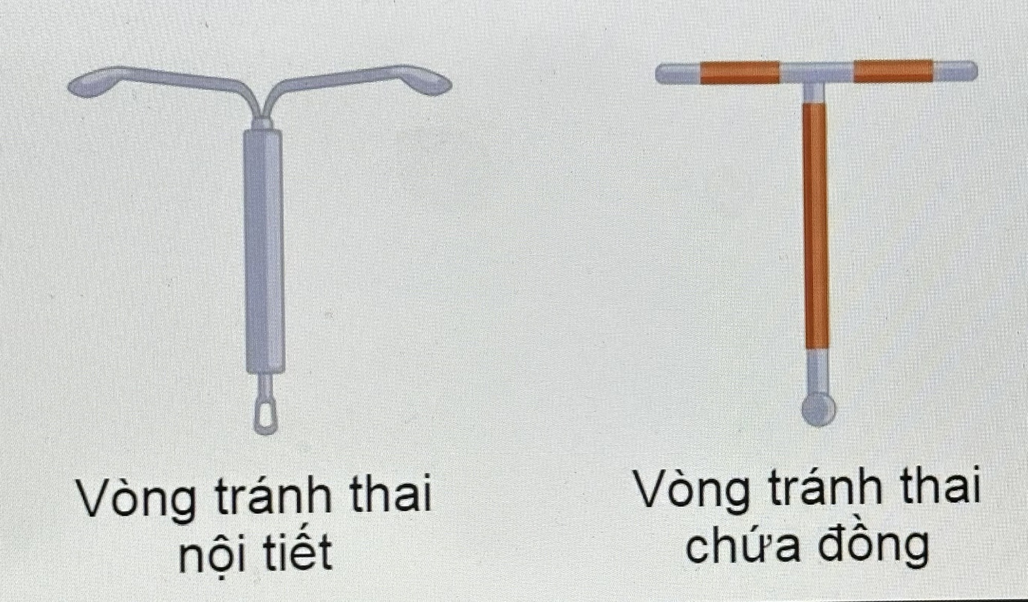 Lợi ích của việc sử dụng vòng tránh thai để tránh thai - Ảnh 2.