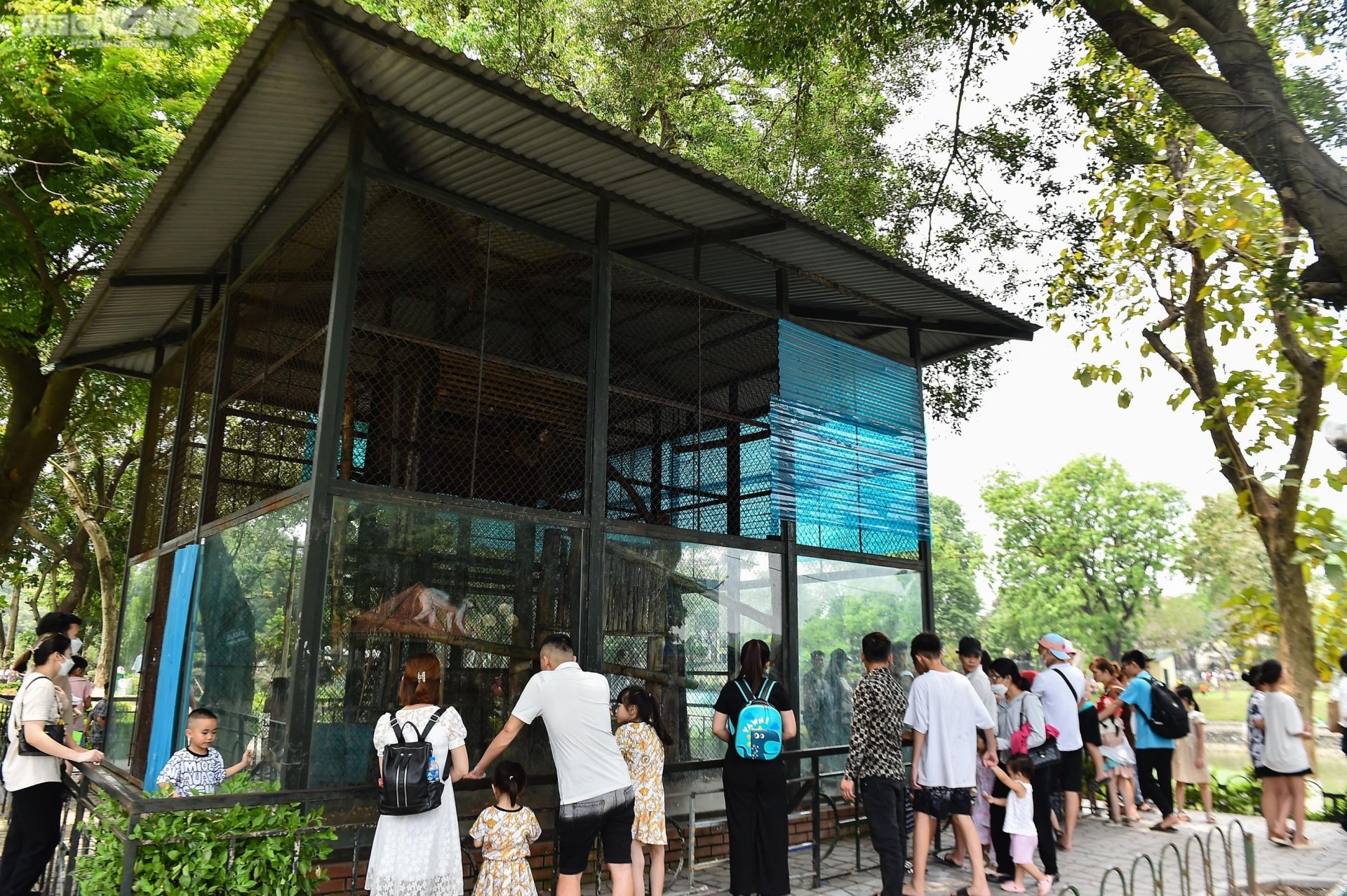 Ngộp thở giữa biển người đổ về công viên Thủ Lệ ngày 1/5 - Ảnh 8. Ngộp thở giữa biển người đổ về công viên Thủ Lệ ngày 1/5 - Ảnh 8.