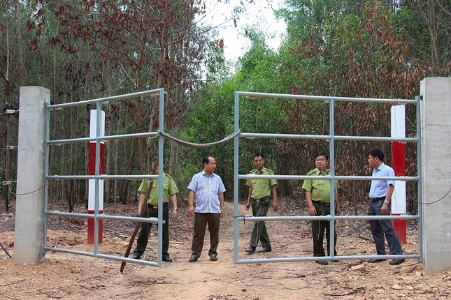 Thêm 15km hàng rào điện bảo vệ đàn voi hoang dã ở Đồng Nai - Ảnh 2.