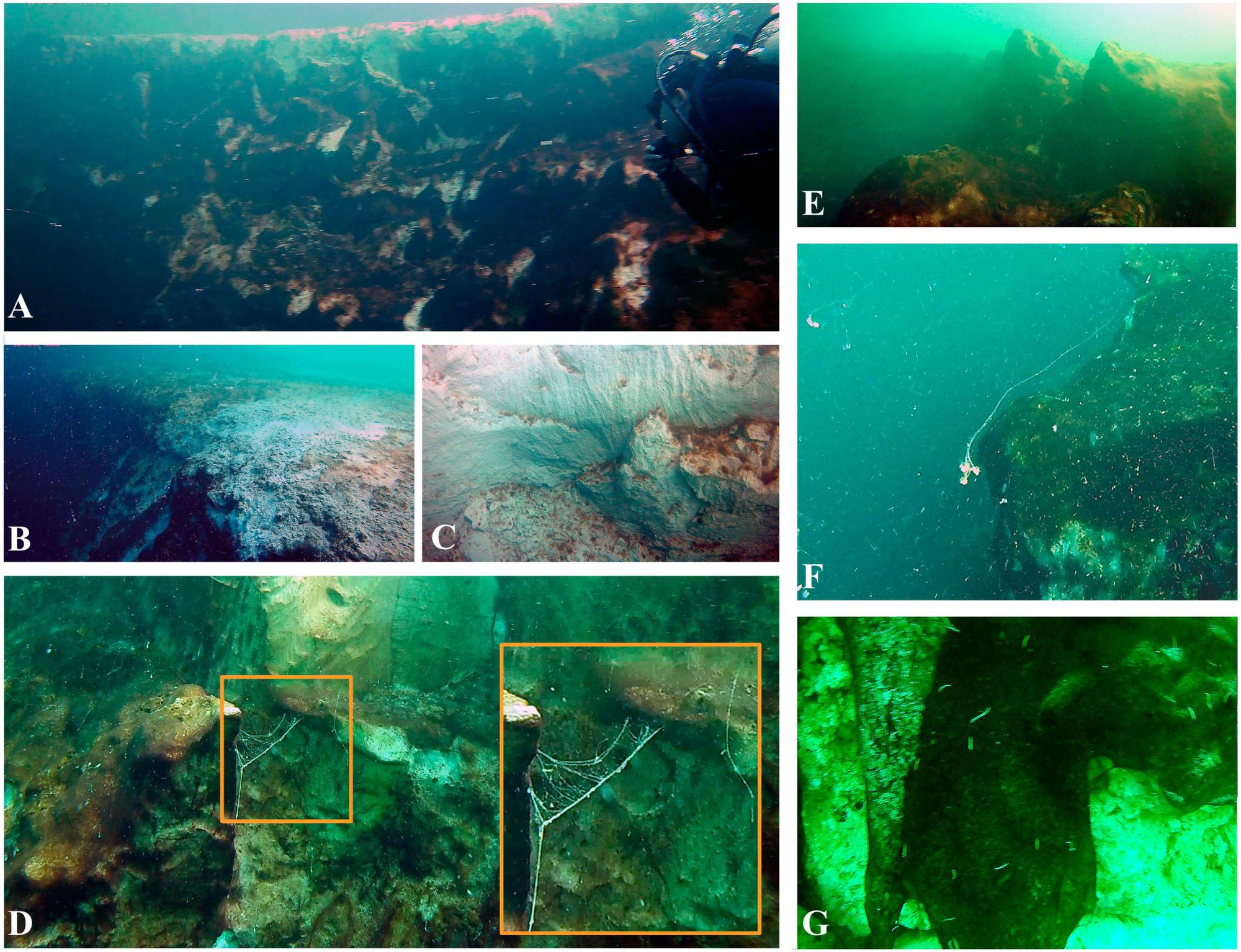 Hố xanh khổng lồ được phát hiện ngoài khơi bờ biển Mexico: đáng sợ đến mức không nhà khoa học nào dám khám phá - Ảnh 2.