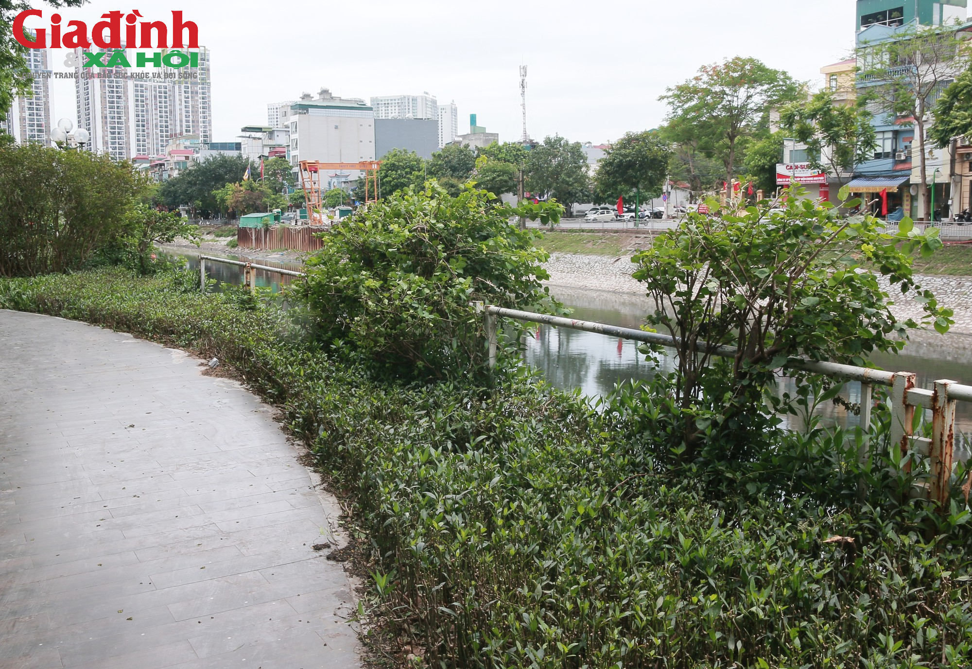 Hà Nội: Lan can bảo vệ ven sông nhiều nơi hư hỏng, xuống cấp trầm trọng - Ảnh 2.