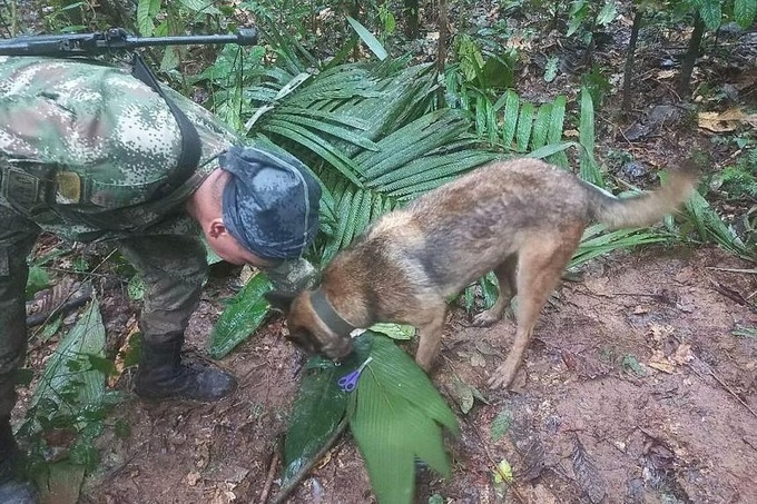 Thông tin mới gây bất ngờ liên quan đến vụ tìm thấy 4 trẻ em sống sót sau vụ rơi máy bay ở Colombia - Ảnh 3.