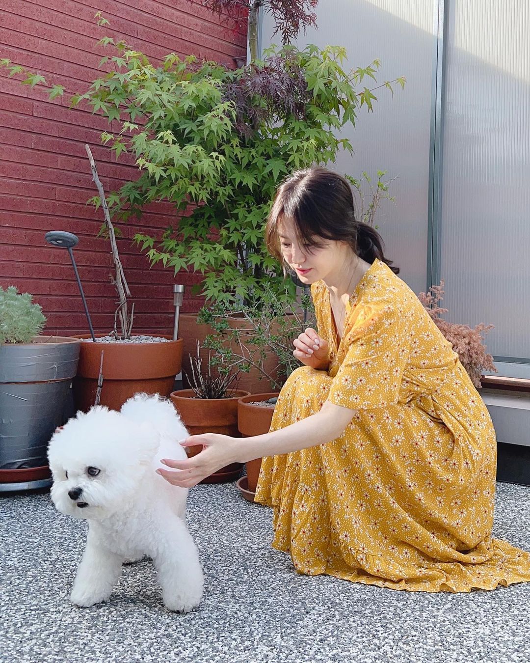Song Hye Kyo khoe khoảnh khắc bình yên bên cún cưng, nhưng mặt mộc hoàn hảo mới là tiêu điểm - Ảnh 3.