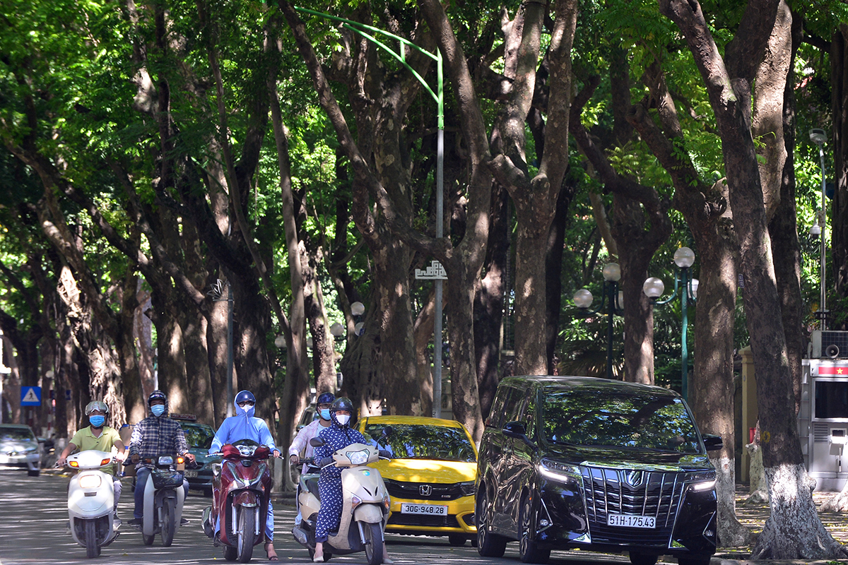 Con phố hiếm hoi của Hà Nội rợp bóng râm suốt cả ngày, người dân đi qua như được giải nhiệt trong những  ngày nắng nóng đỉnh điểm - Ảnh 3.