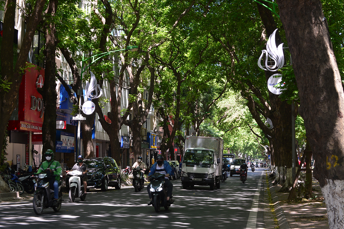 Con phố hiếm hoi của Hà Nội rợp bóng râm suốt cả ngày, người dân đi qua như được giải nhiệt trong những  ngày nắng nóng đỉnh điểm - Ảnh 4.