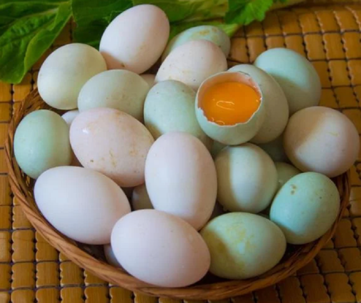 Mua trứng vịt nên chọn quả vỏ trắng hay vỏ xanh? - Ảnh 1.