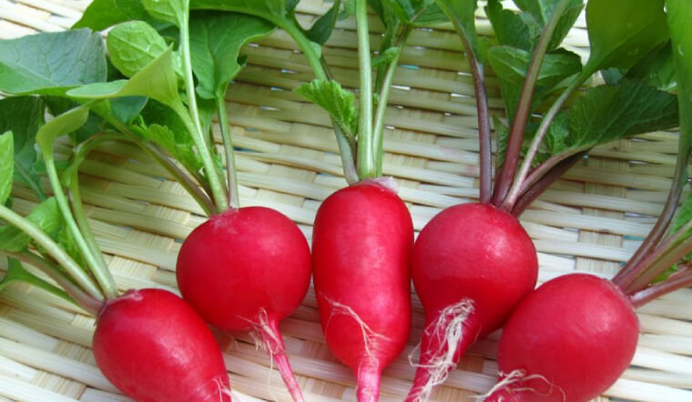 6 loại rau củ rất thích hợp để trồng trong vườn nhà - Ảnh 9.