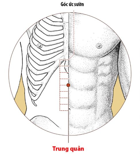 Xoa bóp, bấm huyệt hỗ trợ điều trị đau dạ dày - Ảnh 3.