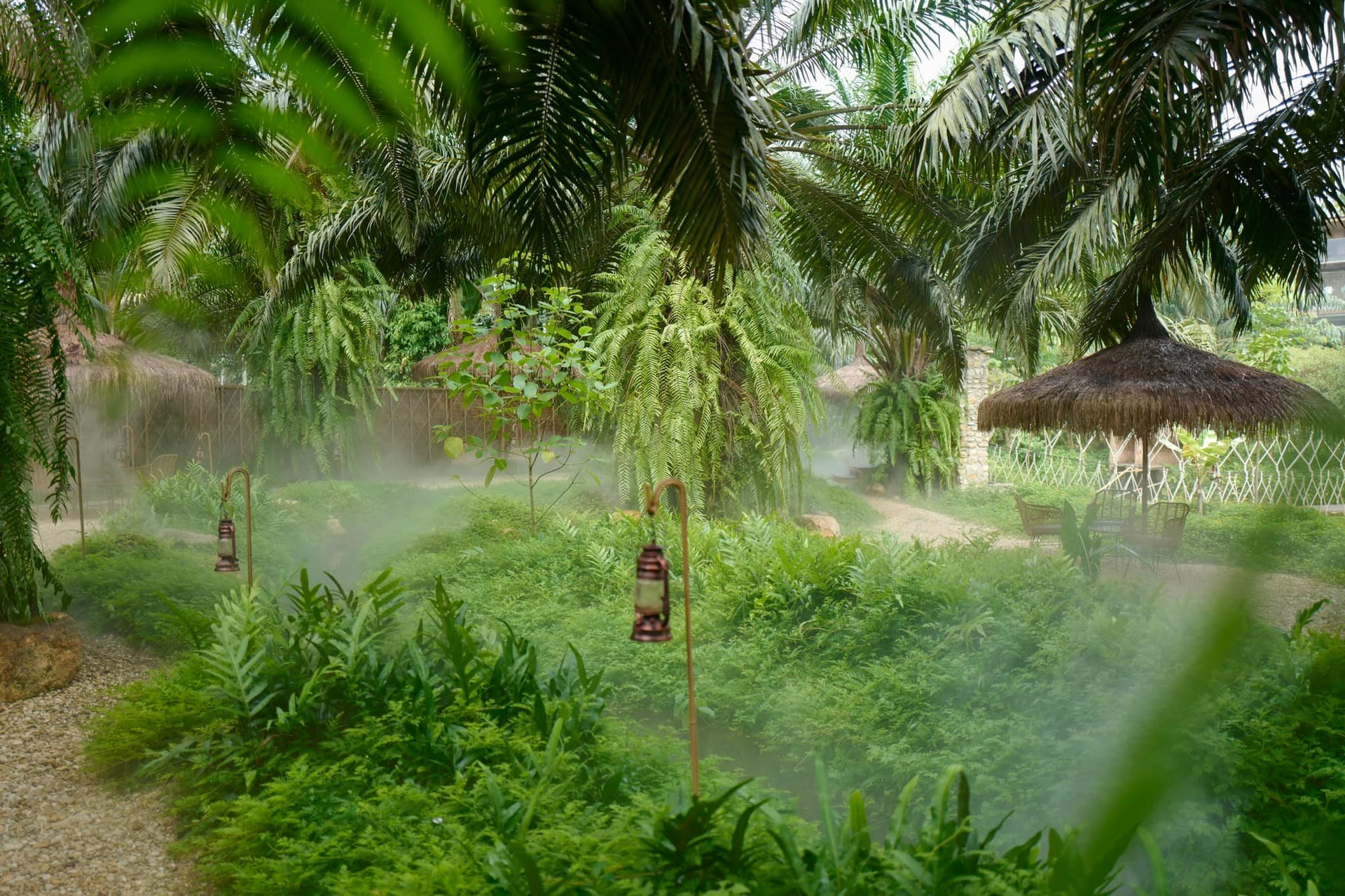 Vì sao homestay 2ha giá 45 tỷ đồng, chủ nhà vẫn than lỗ: “Tiền đầu tư gấp hàng chục lần tiền mua đất”? - Ảnh 1. Vì sao homestay 2ha giá 45 tỷ đồng, chủ nhà vẫn than lỗ: “Tiền đầu tư gấp hàng chục lần tiền mua đất”? - Ảnh 1.