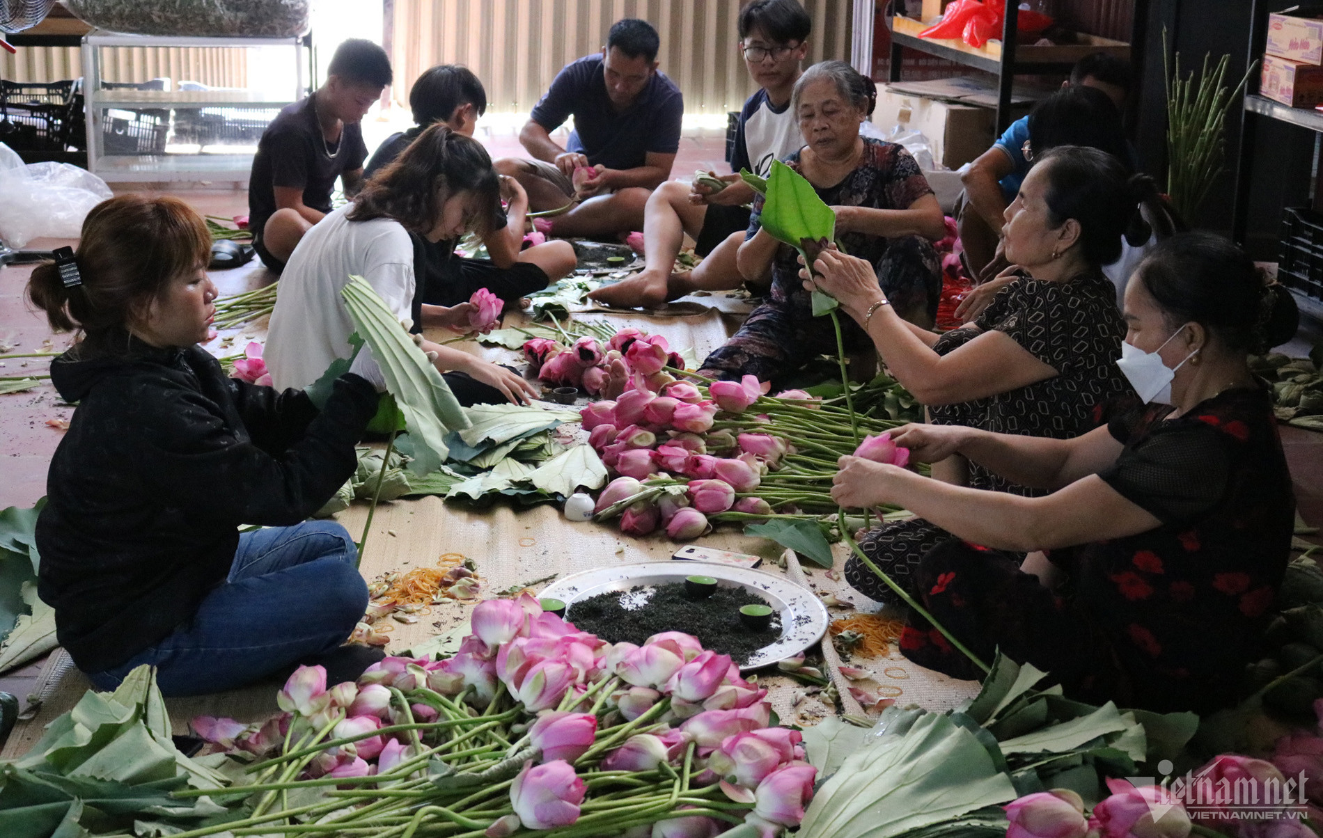 Mùa hoa sen nở hái cả triệu bông, anh nông dân thu 8 tỷ đồng - Ảnh 10.