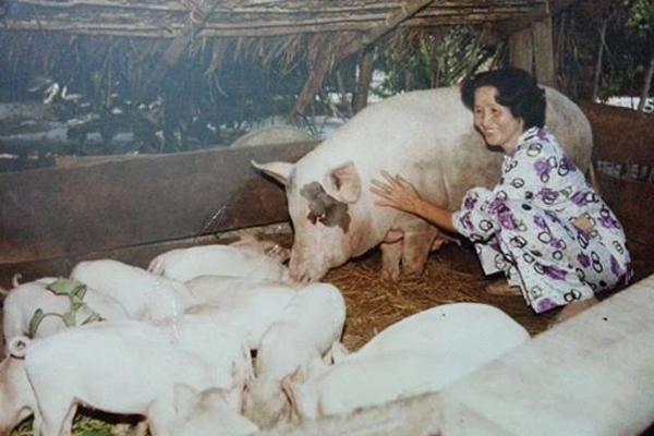 Chân dung người phụ nữ vượt khó nuôi lợn nuôi 5 anh em Hoài Linh - Dương Triệu Vũ khôn lớn - Ảnh 2.