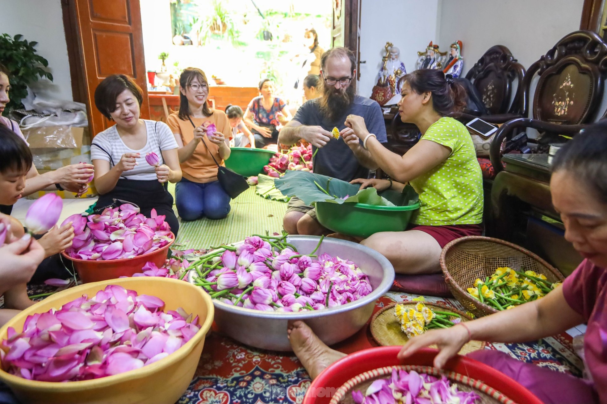 Cận cảnh quy trình ướp trà sen đệ nhất trà Hà thành, giá cả chục triệu đồng/kg - Ảnh 8.