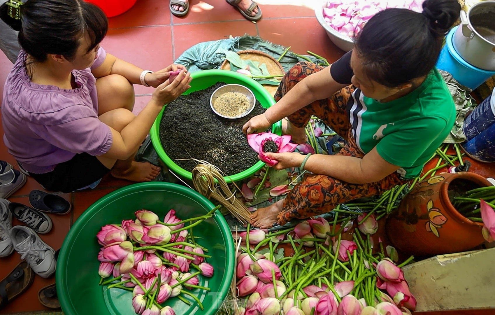 Cận cảnh quy trình ướp trà sen đệ nhất trà Hà thành, giá cả chục triệu đồng/kg - Ảnh 14.