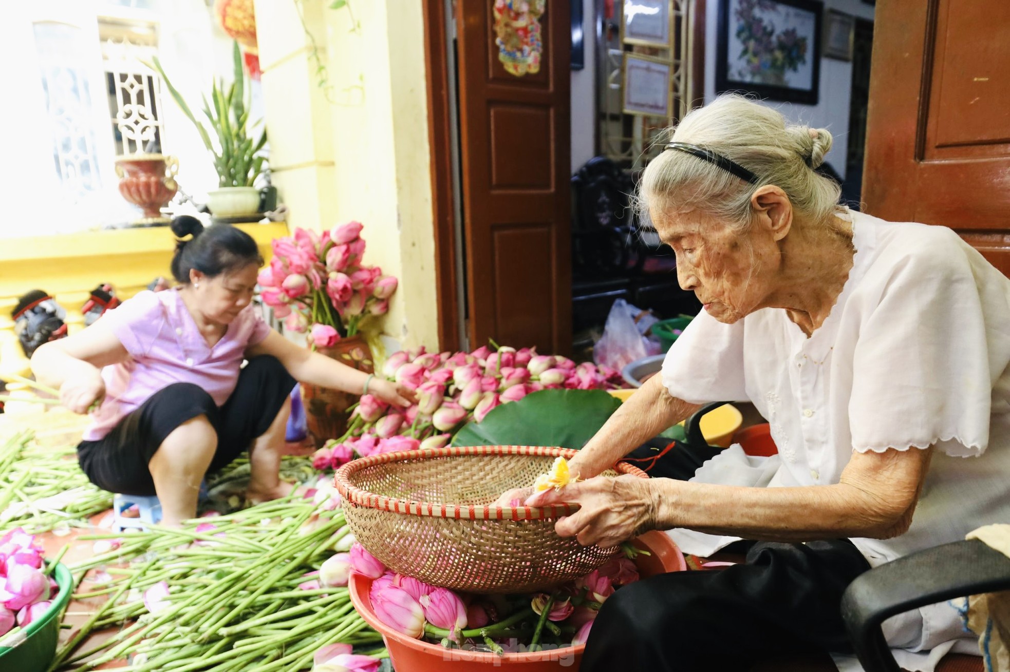 Cận cảnh quy trình ướp trà sen đệ nhất trà Hà thành, giá cả chục triệu đồng/kg - Ảnh 7.