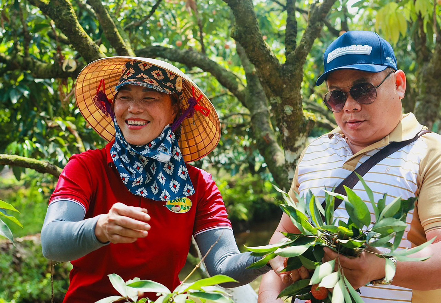 Bán tấm chân tình trong từng quả vải, cả đời trồng cây chưa ai ngờ tới - Ảnh 1. Bán tấm chân tình trong từng quả vải, cả đời trồng cây chưa ai ngờ tới - Ảnh 1.