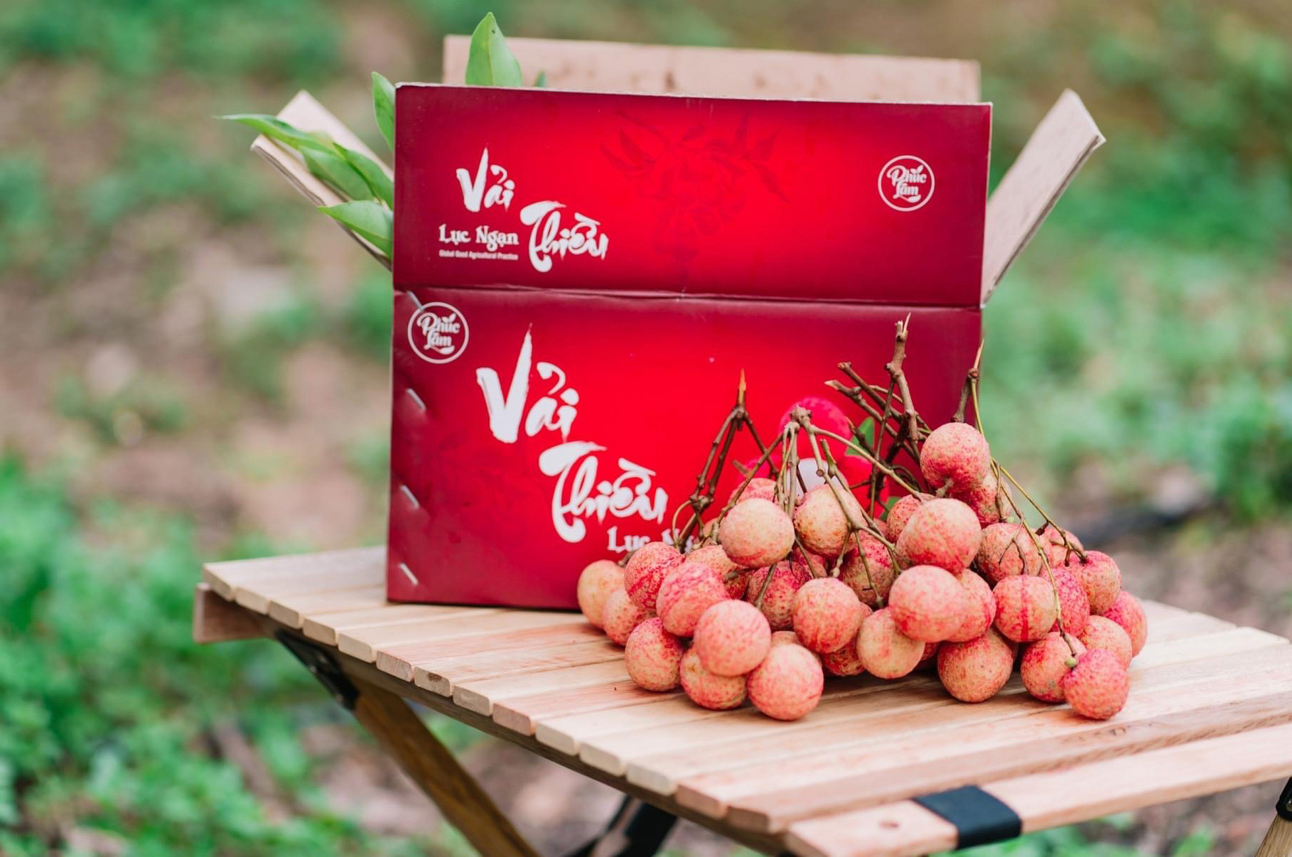 Bán tấm chân tình trong từng quả vải, cả đời trồng cây chưa ai ngờ tới - Ảnh 2. Bán tấm chân tình trong từng quả vải, cả đời trồng cây chưa ai ngờ tới - Ảnh 2.
