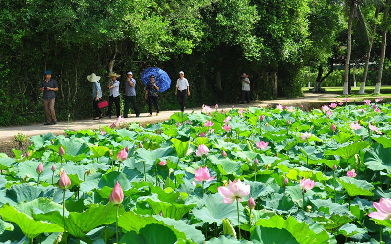 10 địa điểm du lịch Nghệ An đang trở thành niềm cảm hứng du lịch tại Việt Nam  - Ảnh 14.