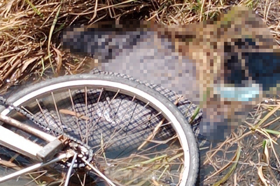Nam thanh niên đi xe đạp ngã xuống ruộng tử vong - Ảnh 2.
