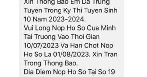 GS Ngô Bảo Châu bất ngờ trúng tuyển... cao đẳng ở Việt Nam - Ảnh 2.