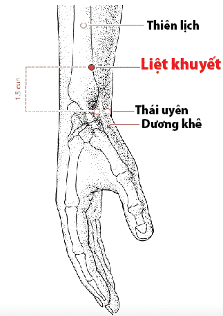 Huyệt vị hỗ trợ điều trị viêm họng mùa hè - Ảnh 2.