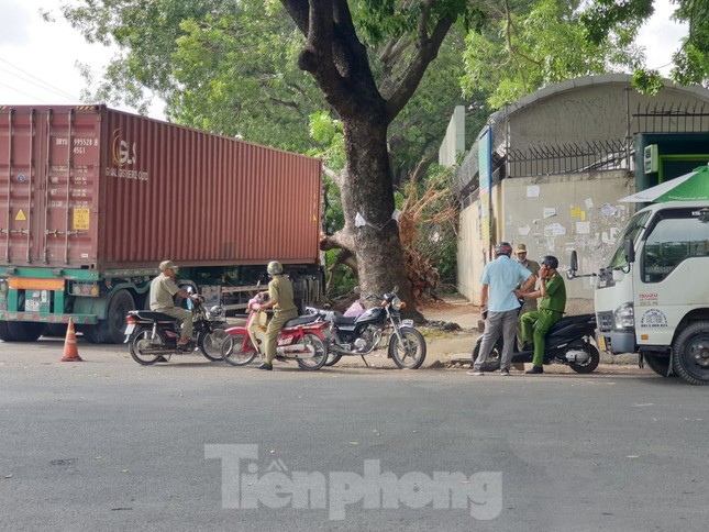 T&agrave;i xế container hoảng hồn khi c&acirc;y xanh cổ thụ bất ngờ đ&egrave; bẹp cabin - Ảnh 4.
