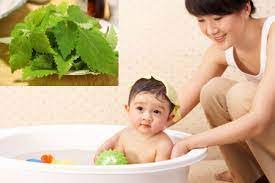5 loại nước tắm trị rôm sảy cho trẻ trong mùa hè - Ảnh 2.