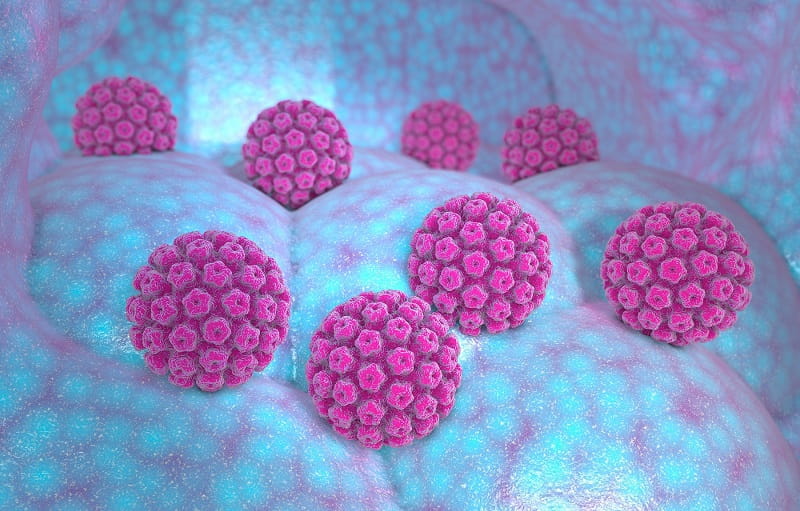 Những điều cần biết về HPV ở nam giới - Ảnh 2.