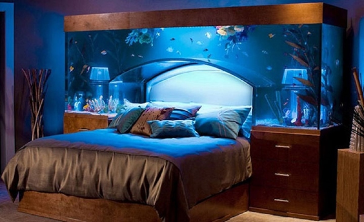 Có nên đặt bể cá trong phòng ngủ? - Ảnh 1.