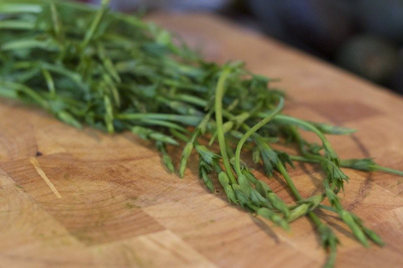 N&ocirc;ng sản &lsquo;đồ thừa&rsquo; bỗng th&agrave;nh &lsquo;bảo vật xanh&rsquo; đắt đỏ h&agrave;ng đầu thế giới, gi&aacute; l&ecirc;n tới hơn 26 triệu đồng/kg nhưng giới si&ecirc;u gi&agrave;u vẫn đổ x&ocirc; săn l&ugrave;ng - Ảnh 1.