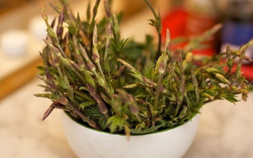 N&ocirc;ng sản &lsquo;đồ thừa&rsquo; bỗng th&agrave;nh &lsquo;bảo vật xanh&rsquo; đắt đỏ h&agrave;ng đầu thế giới, gi&aacute; l&ecirc;n tới hơn 26 triệu đồng/kg nhưng giới si&ecirc;u gi&agrave;u vẫn đổ x&ocirc; săn l&ugrave;ng - Ảnh 3.