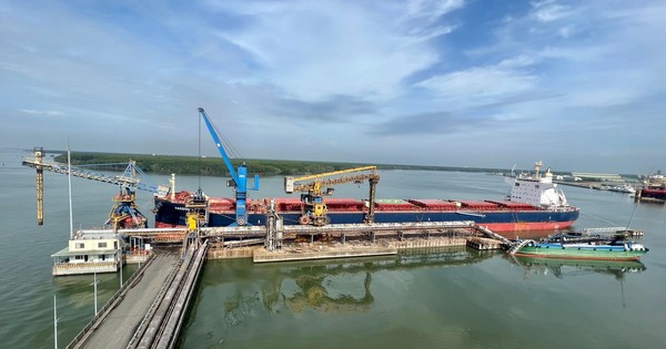 Tàu container va chạm tàu hàng làm gãy một đoạn cầu cảng tại Cái Mép - Ảnh 1.