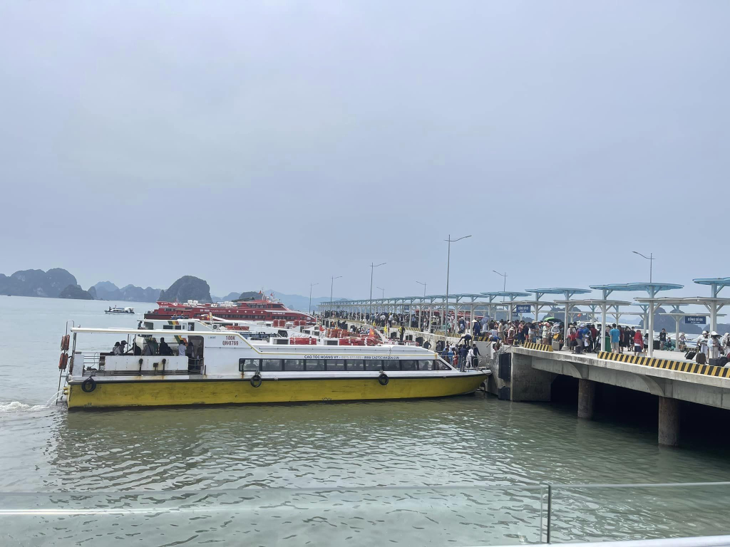 Từ 12h hôm nay: Quảng Ninh dự kiến cấm biển, Hải Phòng tạm dừng tham quan Vịnh Cát Bà - Ảnh 2.