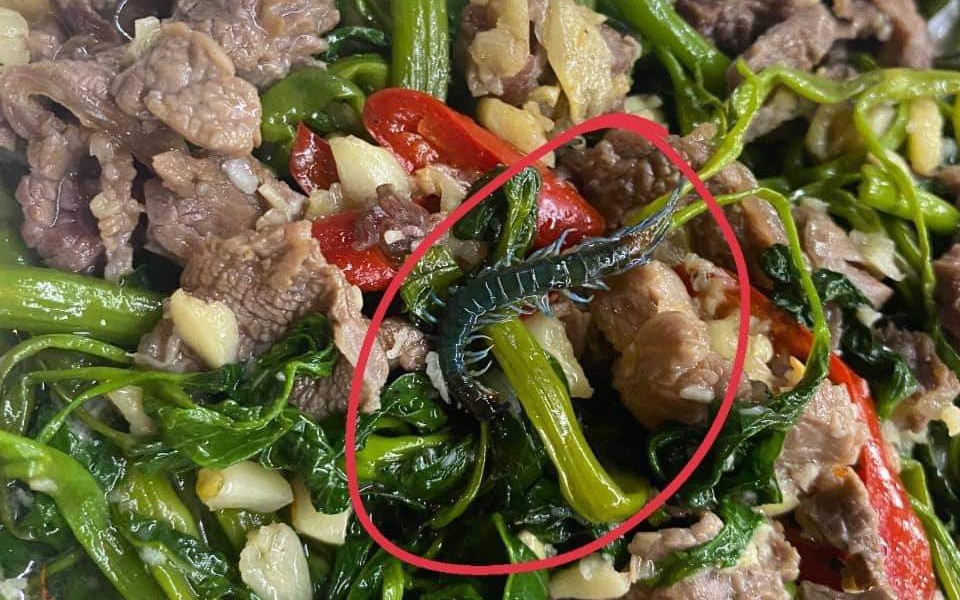 Hà Nội: Kiểm tra nhà hàng Mai Hương sau thông tin con rết xuất hiện trong đĩa rau muống xào, phát hiện chuột ở nơi chế xuất thực phẩm