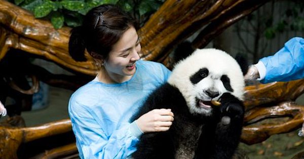 Hình ảnh Song Hye Kyo để mặt mộc chăm sóc gấu trúc được chia sẻ lại