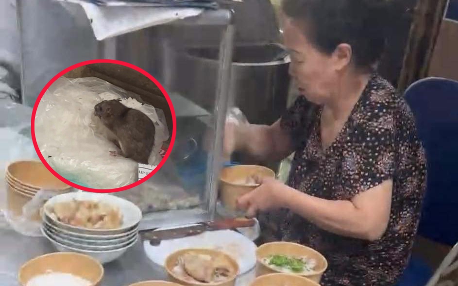 Vụ chuột cống 'ngồi' chễm chệ trên túi bún ở Hà Nội: Buộc đóng cửa đối với quán ăn vỉa hè vi phạm