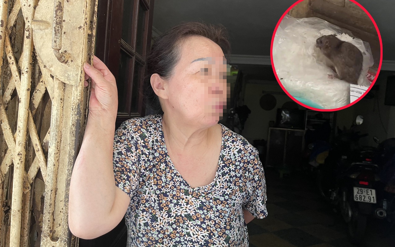 Vụ chuột cống 'ngồi' chễm chệ trên túi bún ở Hà Nội: Chủ quán suy sụp tinh thần, hãi hùng kể lại giây phút xua đuổi con chuột "lỳ đòn"