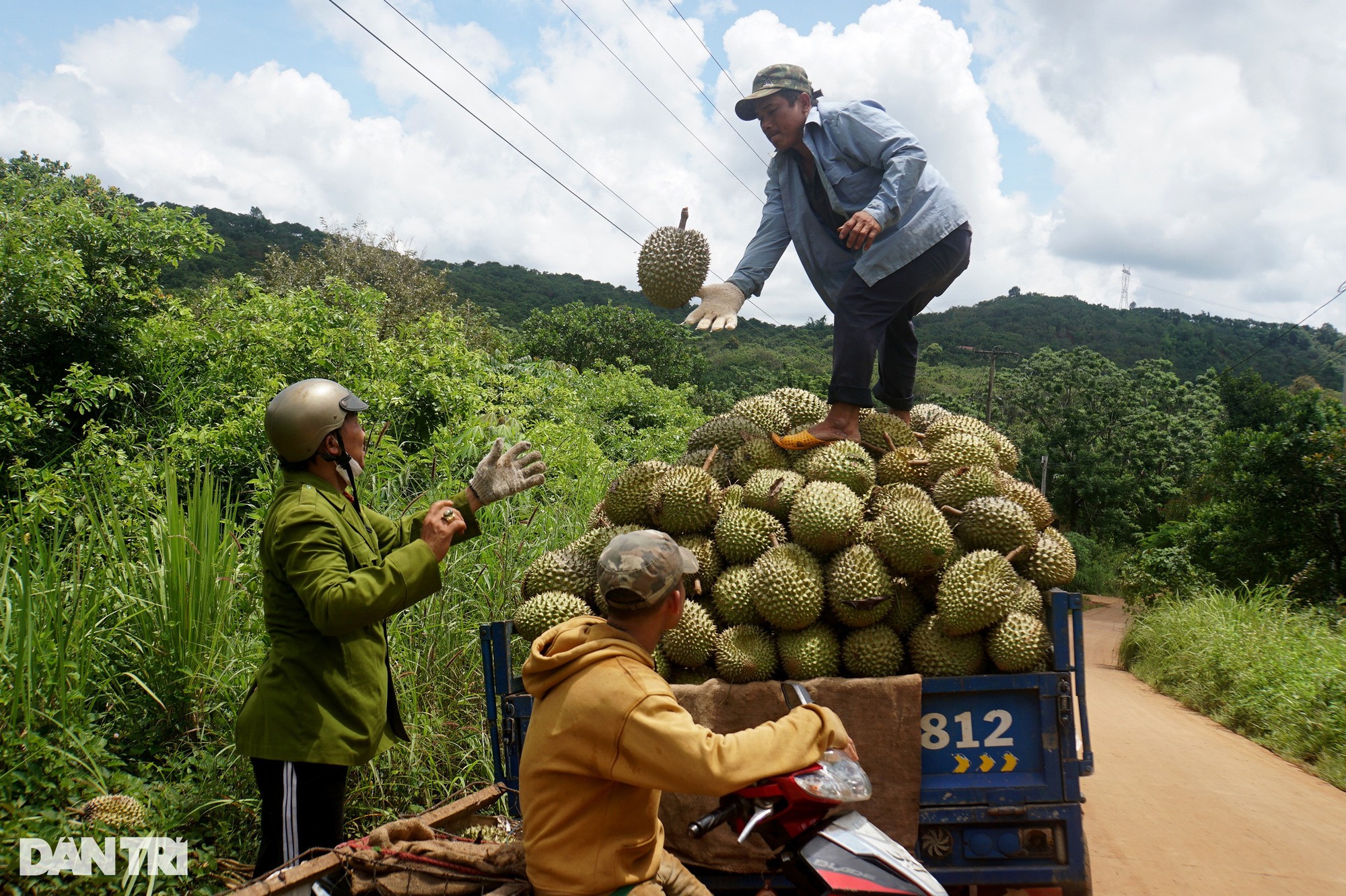 Độc lạ nghề nghe tiếng, ngửi mùi sầu riêng kiếm tiền triệu mỗi ngày - Ảnh 6.