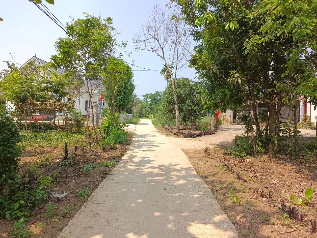 Thời kỳ mua l&ocirc; đất qu&ecirc; 2,5 tỷ, chờ tăng gi&aacute; b&aacute;n 25 tỷ bao giờ quay trở lại? - Ảnh 2.