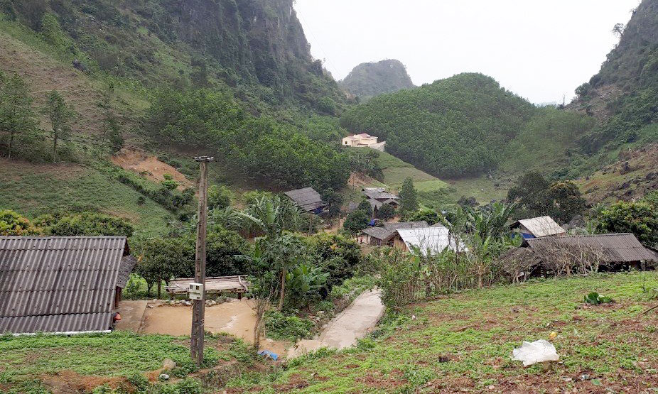Trồng loại cây trên núi đá cao, mỗi năm thu lời cả trăm triệu đồng - Ảnh 1. Trồng loại cây trên núi đá cao, mỗi năm thu lời cả trăm triệu đồng - Ảnh 1.